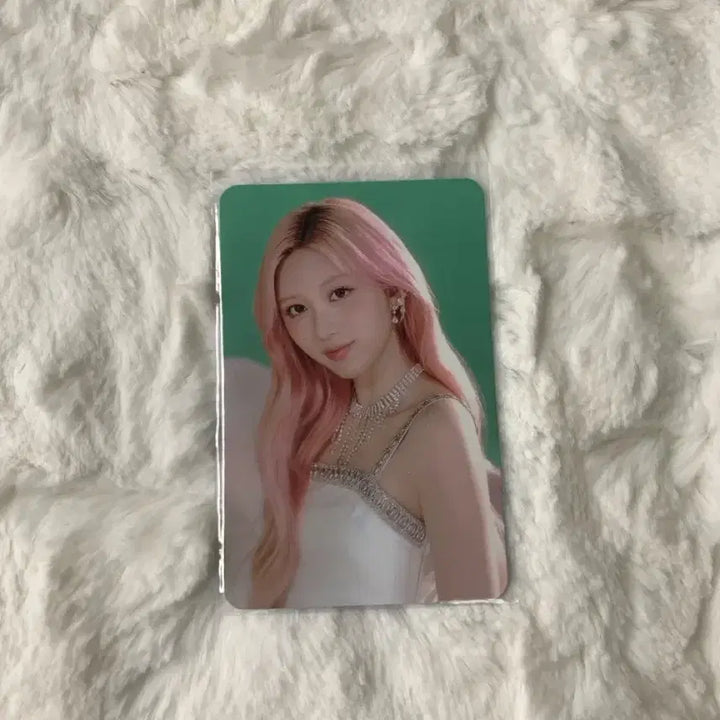 [BUNJANG] Ga-eul Photocard / 가을이 찐포