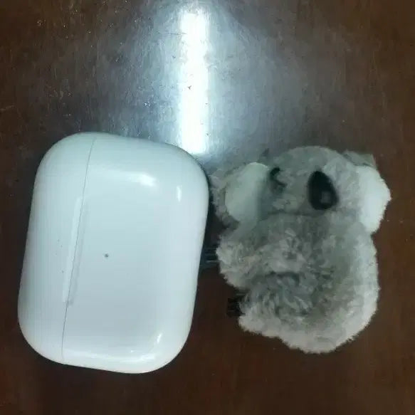 [BUNJANG] Koala Plush Doll / 코알라 인형