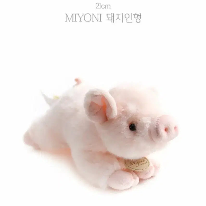 [BUNJANG] Miyoni Pig &amp; Line Friends Brown Hand Mirror Bundle / 미요니 돼지 봉제인형 라인프렌즈 브라운 손거울