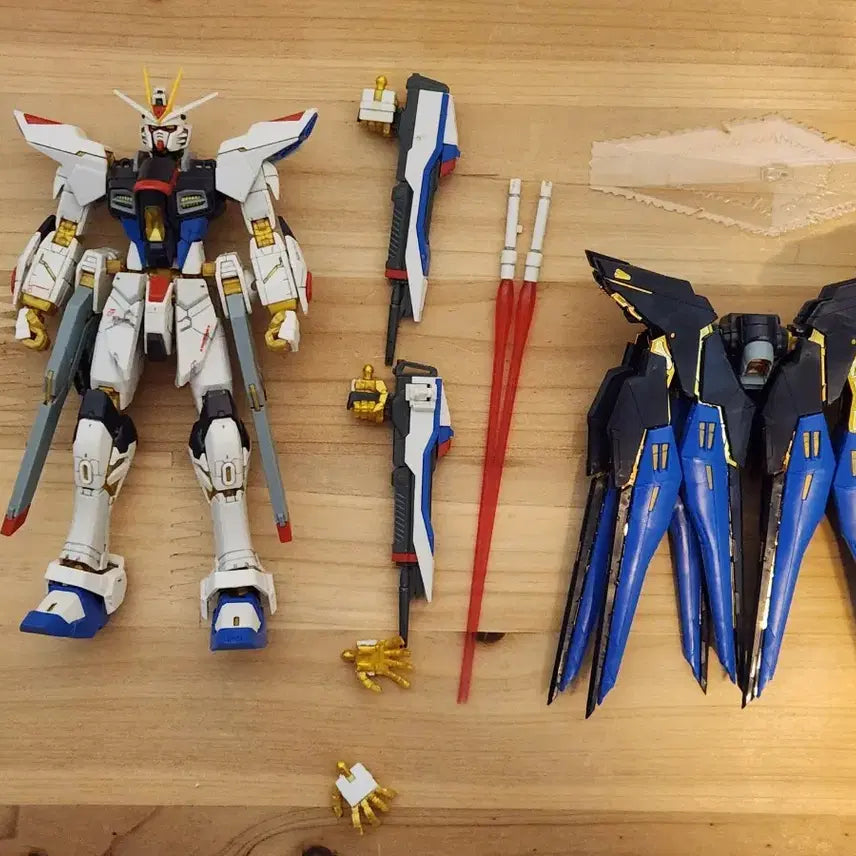 [BUNJANG] RG Strike Freedom Assembled Gundam Model / [RG][가조립] 스트라이크 프리덤