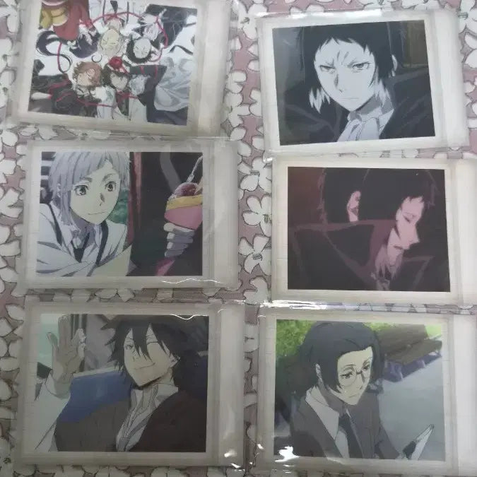 [BUNJANG] Bungo Stray Dogs Pashi 6-Piece Bundle / 일괄 문호 스트레이독스 문스독 파샤 6장