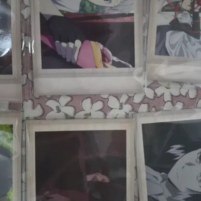[BUNJANG] Bungo Stray Dogs Pashi 6-Piece Bundle / 일괄 문호 스트레이독스 문스독 파샤 6장