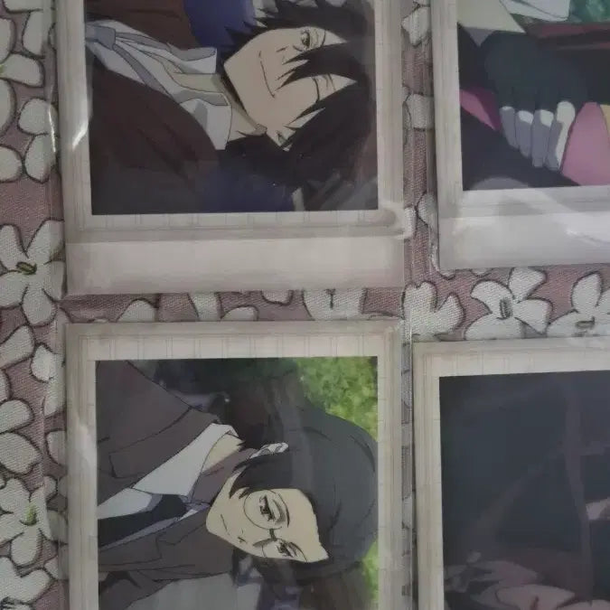 [BUNJANG] Bungo Stray Dogs Pashi 6-Piece Bundle / 일괄 문호 스트레이독스 문스독 파샤 6장