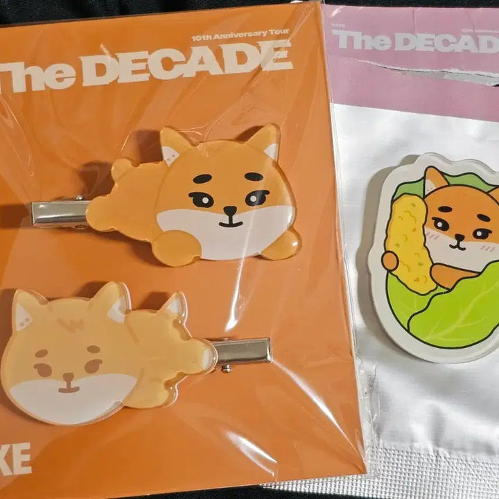 [BUNJANG] DAY6 Young K Gwangju Magnet Hair Clip / 데이식스 영케이 광주 마그넷 헤어클립 day6