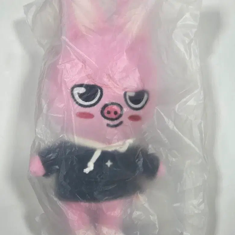 [BUNJANG] SKZ (Stray Kids) Changbin Original Dwaekki Plushie / SKZ 스키즈 매직스쿨 오리지널 돼끼 창빈 미개봉