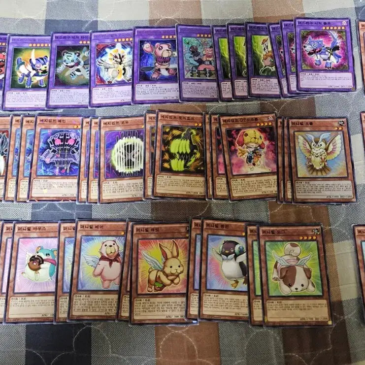 [BUNJANG] Yu-Gi-Oh! Deskbot Deck / 유희왕 데스완구 덱 판매합니다