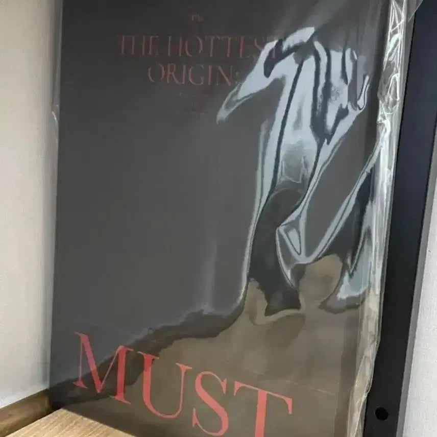 [BUNJANG] 2PM MUST Making Book / 투피엠 2PM MUST 메이킹북 양도합니다