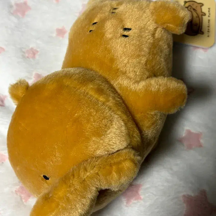 [BUNJANG] Nongdamgom Baby Nongdamgom Wooden Doll "Nui" Bundle Set / 일괄)나가노 담곰이 농담곰 베이비 농담곰 목각곰 인형 누이