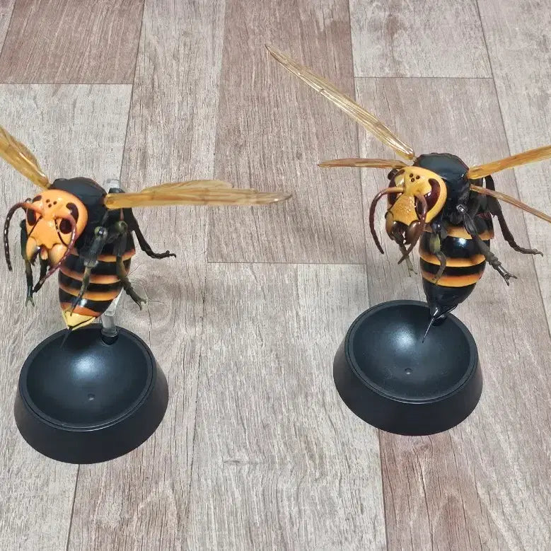 [BUNJANG] Bandai Biology Encyclopedia Advanced Japanese Giant Hornet &amp; Oriental Hornet / 반다이 생물대도감 어드벤스 장수말벌 &amp; 꼬마장수말벌