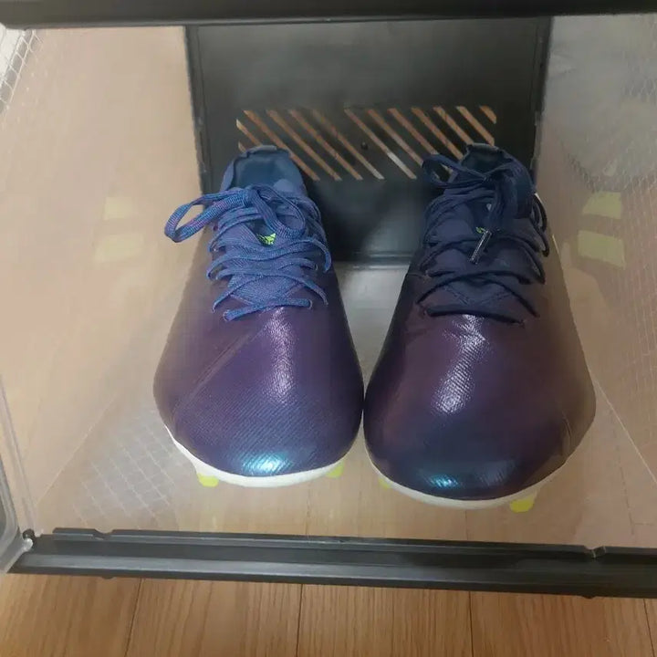 [BUNJANG] Adidas Nemeziz 19.1 Chameleon Soccer Cleats / 아디다스 네메시스 19.1 카멜레온 새 상품