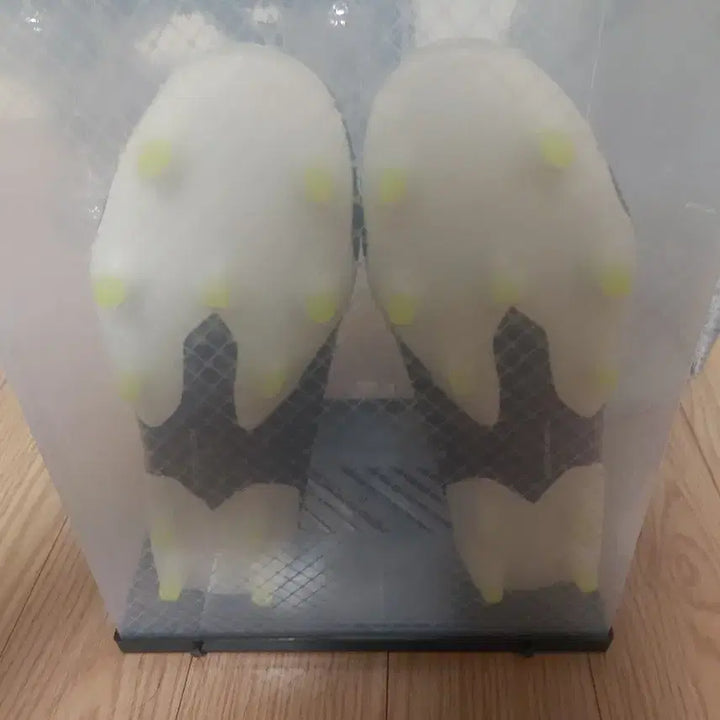 [BUNJANG] Adidas Nemeziz 19.1 Chameleon Soccer Cleats / 아디다스 네메시스 19.1 카멜레온 새 상품