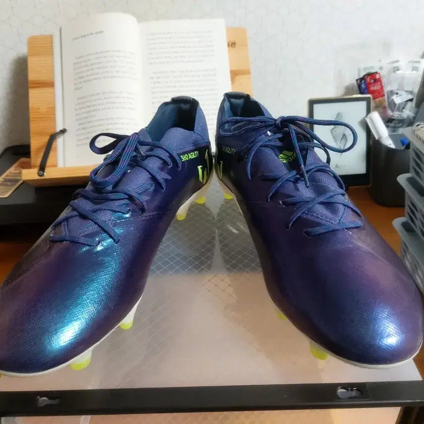 [BUNJANG] Adidas Nemeziz 19.1 Chameleon Soccer Cleats / 아디다스 네메시스 19.1 카멜레온 새 상품