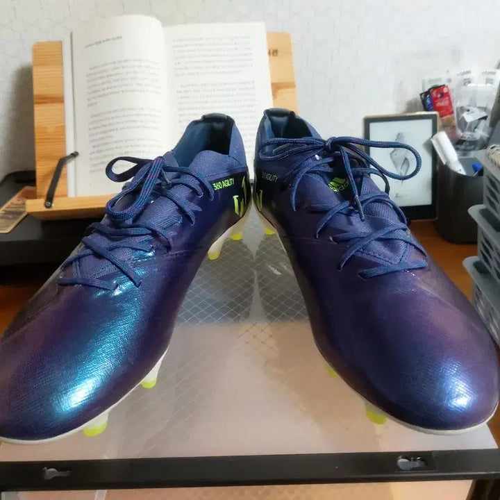[BUNJANG] Adidas Nemeziz 19.1 Chameleon Soccer Cleats / 아디다스 네메시스 19.1 카멜레온 새 상품