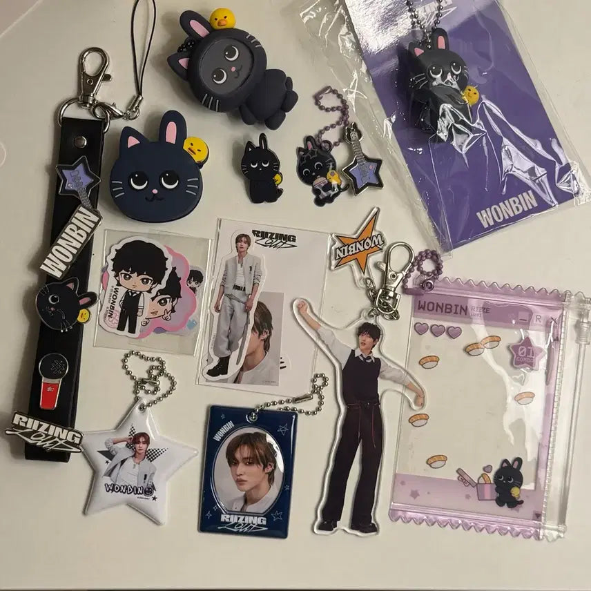 [BUNJANG] RIIZE Wonbin Goods Bundle Set / 탈덕처분)라이즈 원빈 토냥덕 굿즈 일괄판매