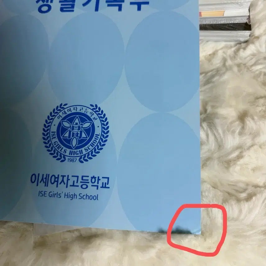 [BUNJANG] Isegye Idol Chasedol Album / 이세계아이돌 차원을넘어 차세돌 앨범 이세돌