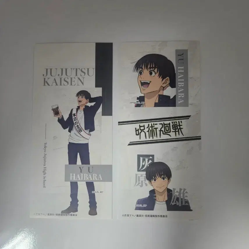 [BUNJANG] Jujutsu Kaisen Haibara Yu Sticker Bundle Set / 주술회전 하이바라 유우 스티커 일괄