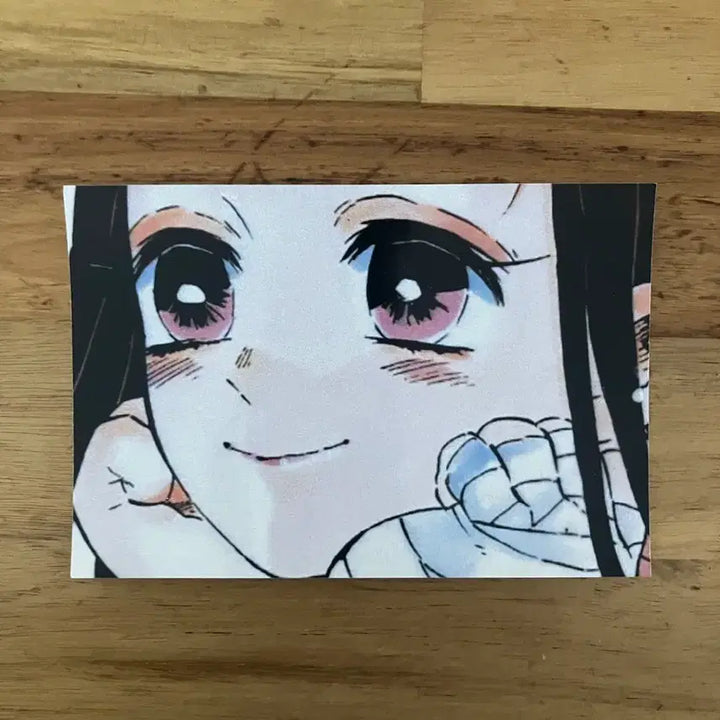 [BUNJANG] Demon Slayer Nezuko Photo / 귀멸의 칼날 네즈코 사진