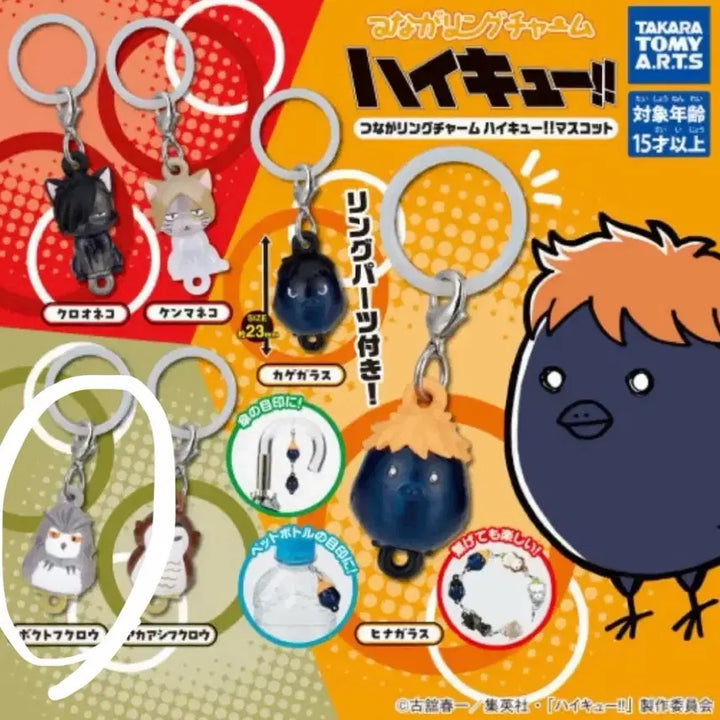 [BUNJANG] Haikyuu Bokuto Connecting Charm Mascot / 하이큐 연결되는 고리 참 마스코트 / 보쿠토