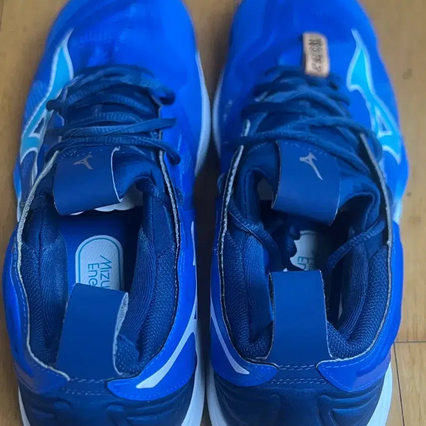 [BUNJANG] Mizuno Momentum Volleyball Shoes / 미즈노 모멘텀 265