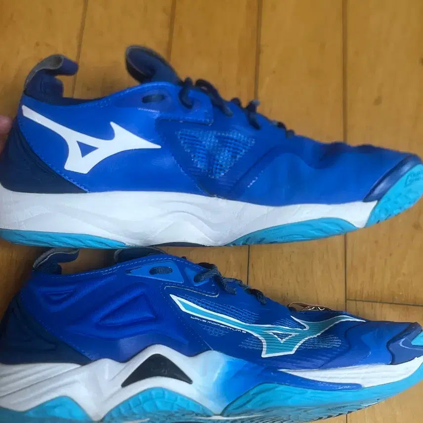[BUNJANG] Mizuno Momentum Volleyball Shoes / 미즈노 모멘텀 265