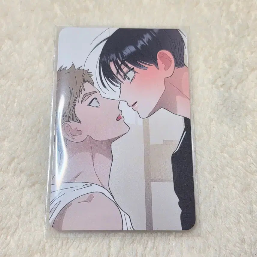 [BUNJANG] Hongsil Quest Bomtoon Pop-up POB Photocard / 홍퀘 홍실퀘스트 봄툰 팝업 10만원 특전 포토카드 포카 양도