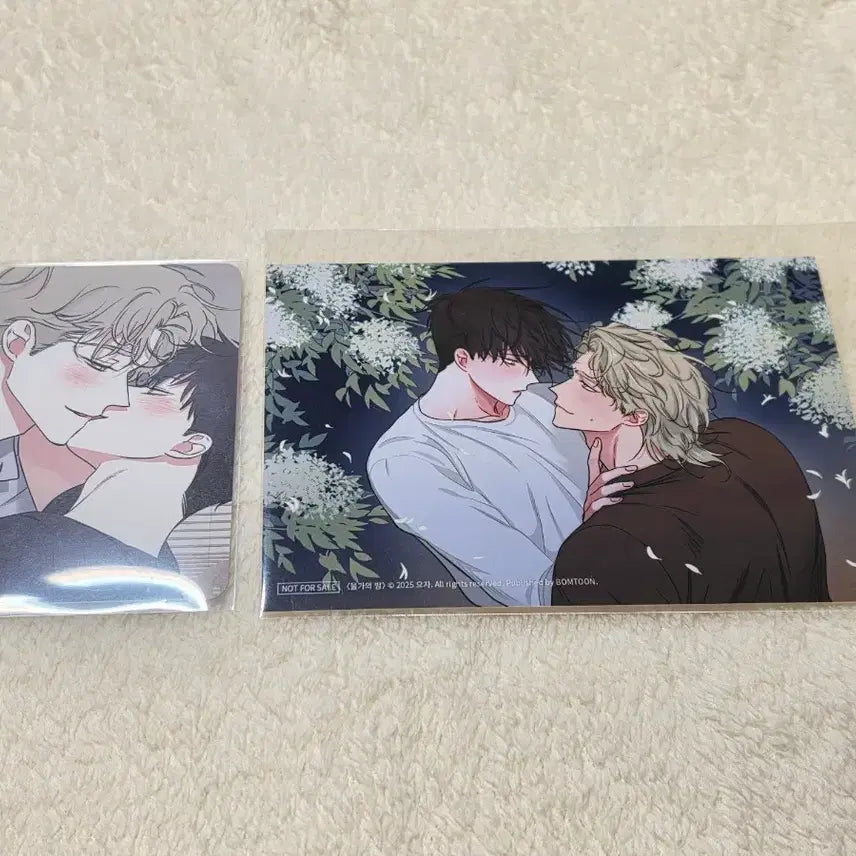 [BUNJANG] Mulbam Mulgayeui Bam Spring Toon Pop-Up Bundle Set Photocard / 물밤 물가의밤 봄툰 팝업 10만원 특전 5만원 특전 포토카드 포카