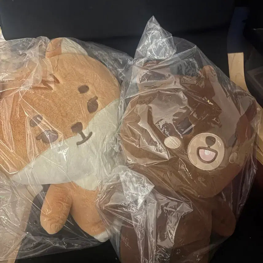 [BUNJANG] Day6 Concert Official Merchandise / 데이식스 클콘 자쁘멀 방