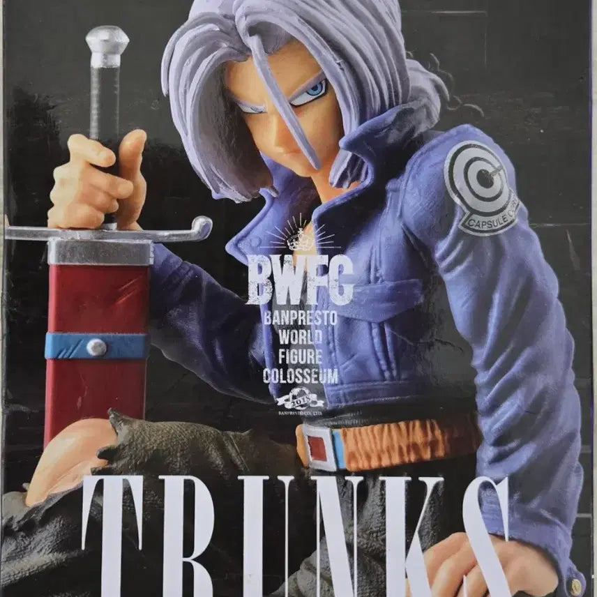 [BUNJANG] Banpresto Dragon Ball Z BWFC Trunks Figure / [미개봉]반프레스토 드래곤볼Z BWFC 조형천하제일무도회2 미래 트랭크스