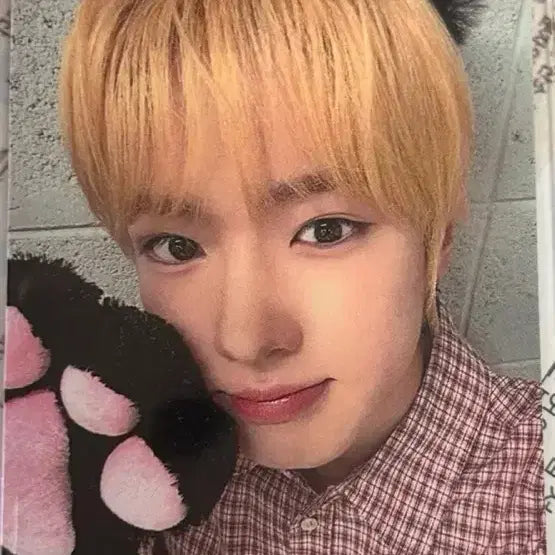 [BUNJANG] NCT WISH Sakuya Lucky Draw Photocard / 엔시티위시 컬러 인터아시아 럭키드로우 사쿠야 포카 양도