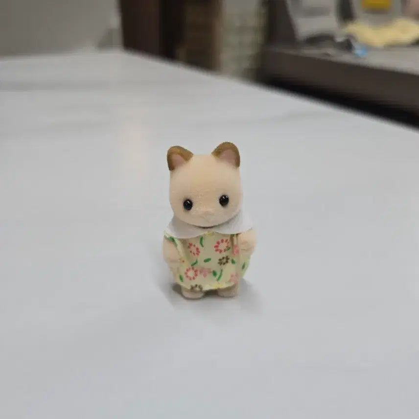 [BUNJANG] Sylvanian Families Cream Cat Family / 실바니안 파크 크림캣