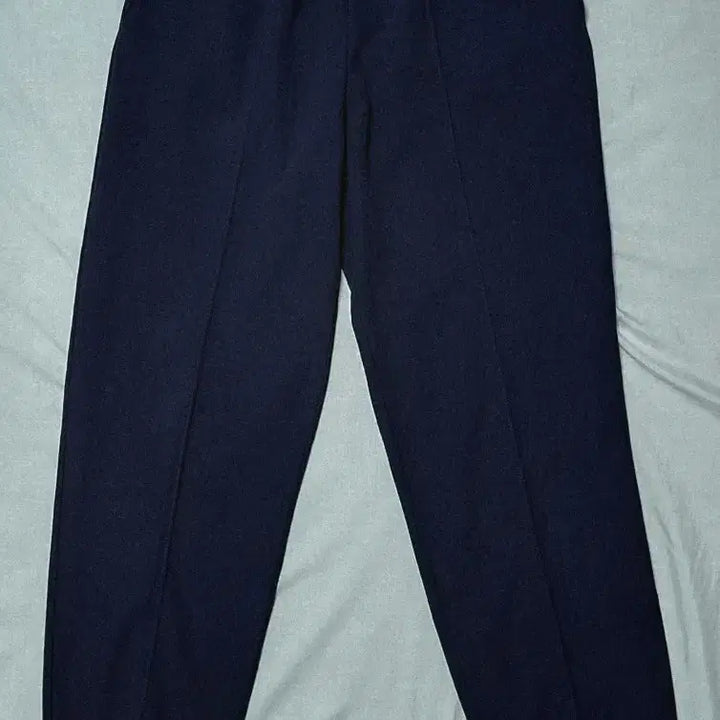 [BUNJANG] Courreges x Descente Navy Pinstripe Jogger Pants / [M/네이비] 꾸레쥬(Courreges) x 데상트 핀턱 조거 팬츠