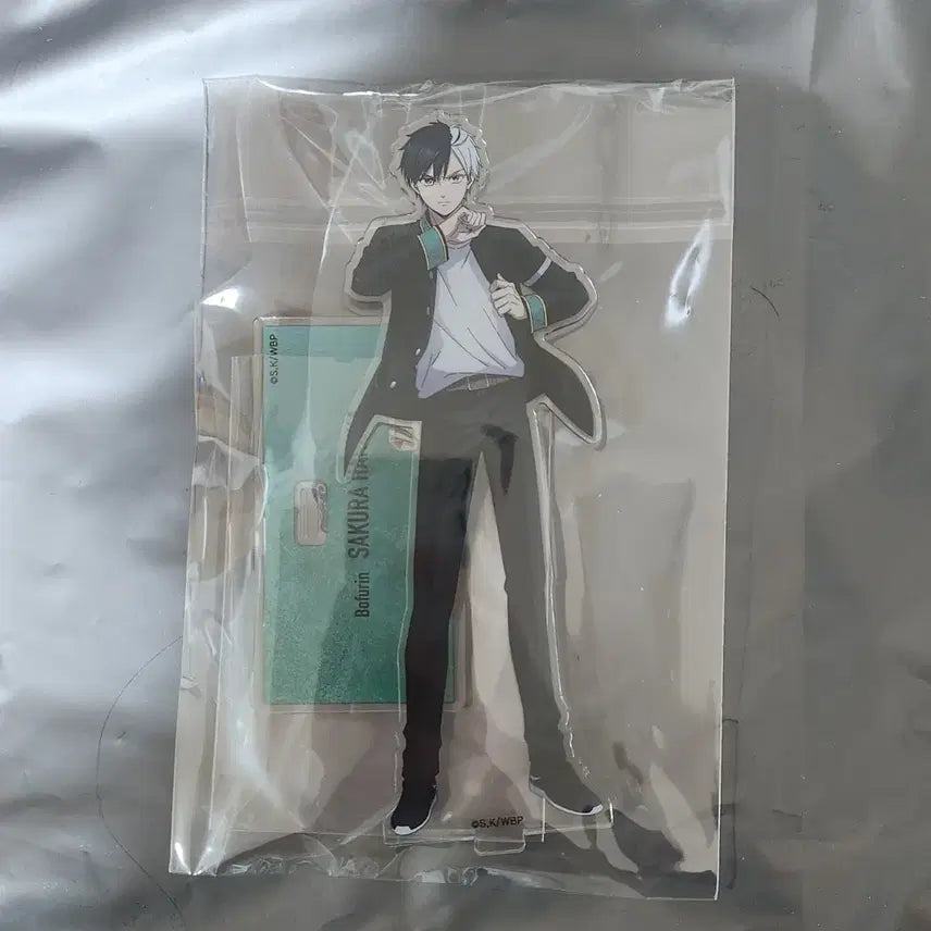 [BUNJANG] Wind Breaker Haruka Sakura Acrylic Stand / 윈브레 윈드브레이커 사쿠라 하루카 아크릴