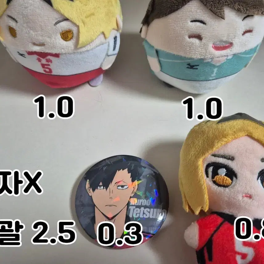 [BUNJANG] Haikyuu Kuroo Tetsuro Set / 하이큐 인형 + 쿠로오 뱃지 세트