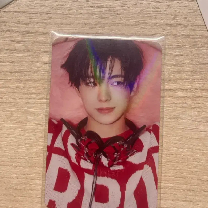 [BUNJANG] ENWISH Yuushi Steady Photocard / 스테디 엔위시 유우시 포카