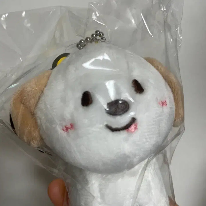 [BUNJANG] Riize Sohee 10cm Doll (1st Gen) - Sealed / riize 라이즈 리라즈 멍룡이 10cm 1기 미개봉 양도합니다.