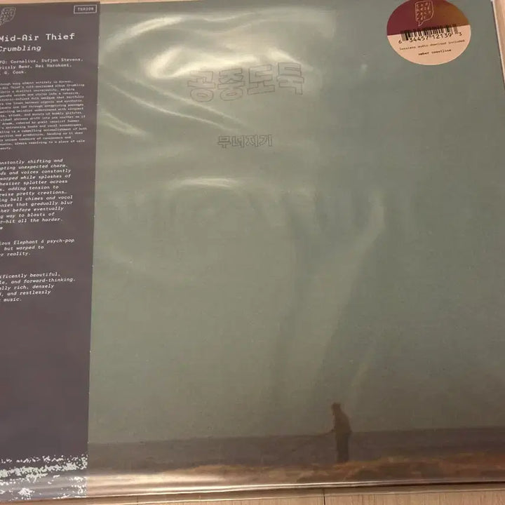 [BUNJANG] Airborne Thief Collapse LP / 공중도둑 lp 무너지기 lp