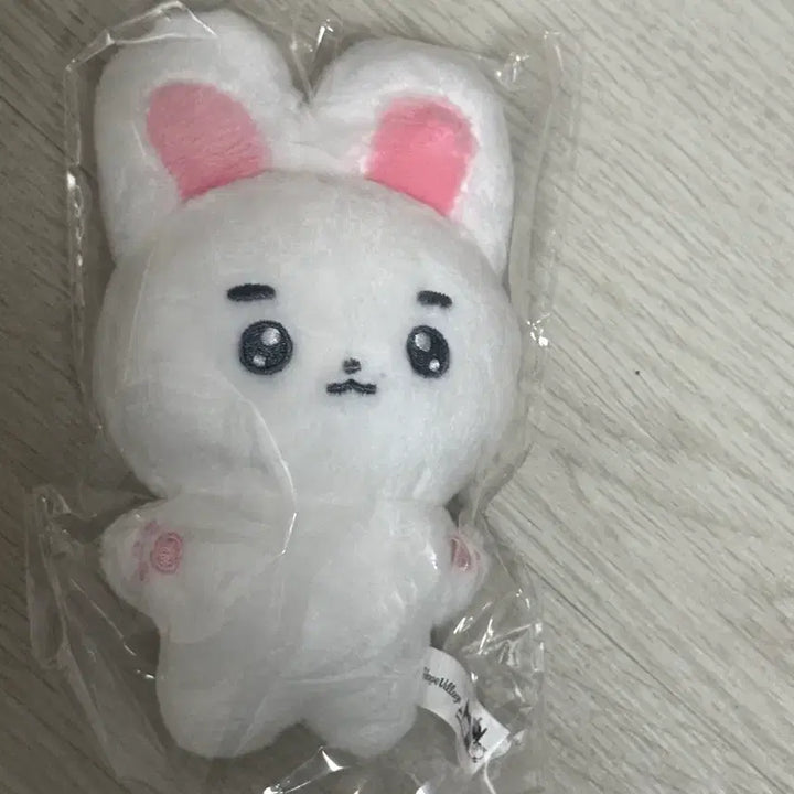 [BUNJANG] Junghaein Haetnim Doll Unofficial Goods / 정해인 햇님이 인형 비공굿 양도