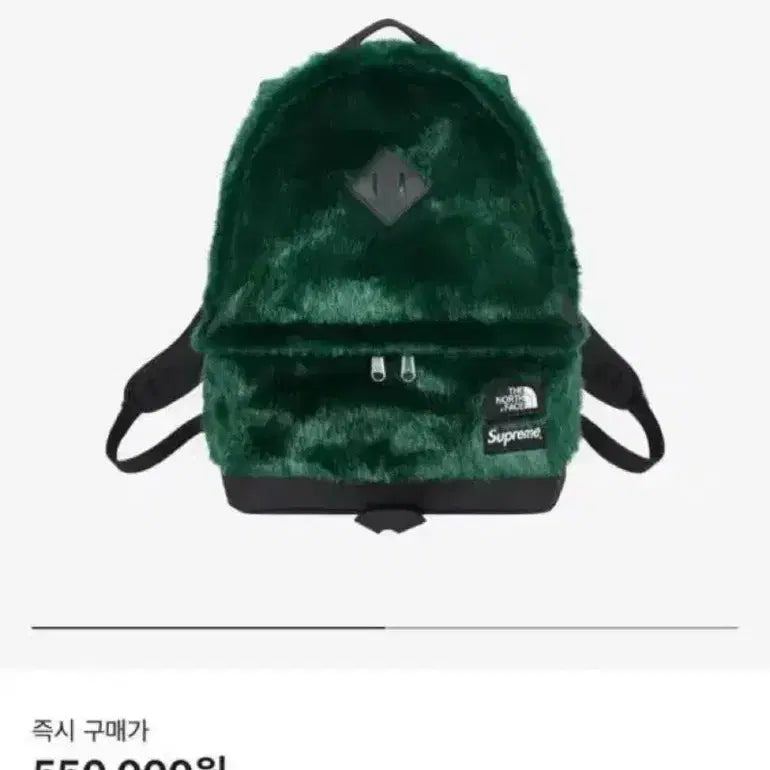 [BUNJANG] Supreme x The North Face Collaboration Backpack Green / 슈프림 노스페이스 콜라보 퍼 백팩 그린