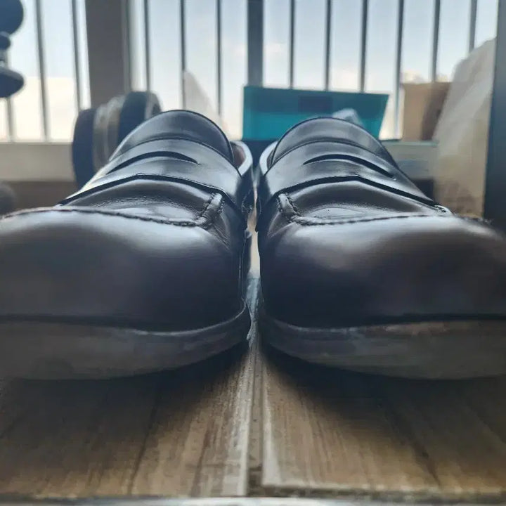 [SOLD OUT] 버윅 9628 다크브라운 페니로퍼 (270)