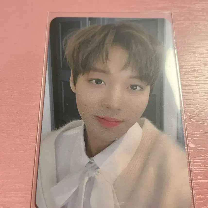 [BUNJANG] Park Jihoon Fanmeeting Photocard / 박지훈 팬미팅 포카