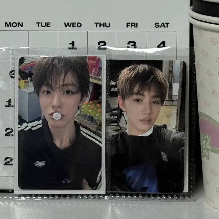 [BUNJANG] Cortis Sunghyun Photocard BeatRoad / 코르티스 성현 포카 비트로드