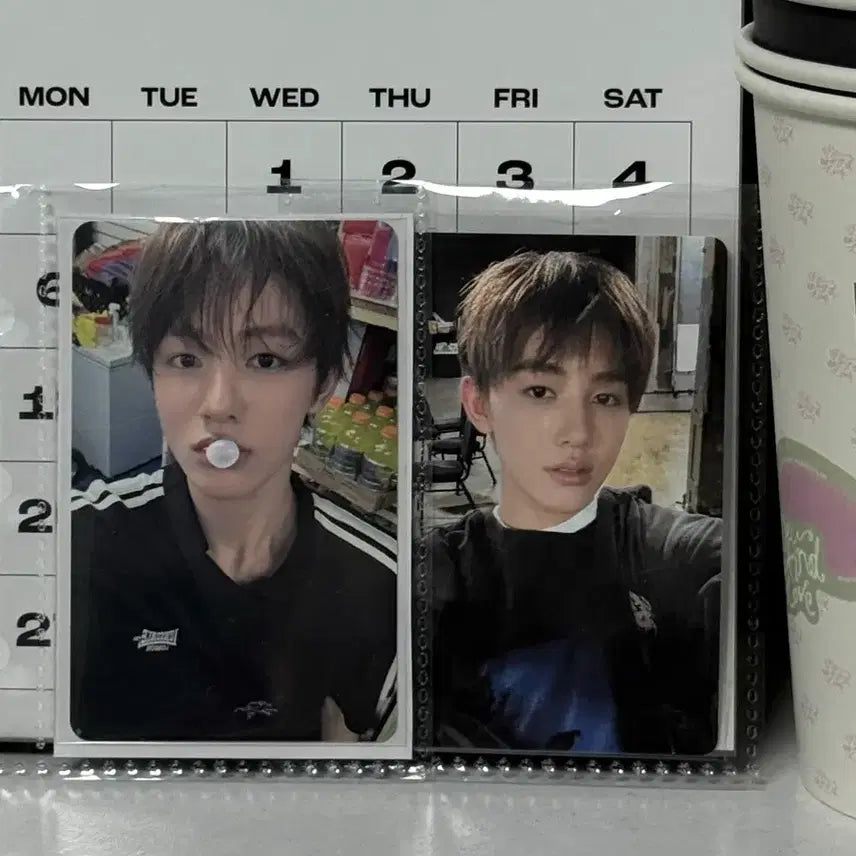 [BUNJANG] Cortis Sunghyun Photocard BeatRoad / 코르티스 성현 포카 비트로드