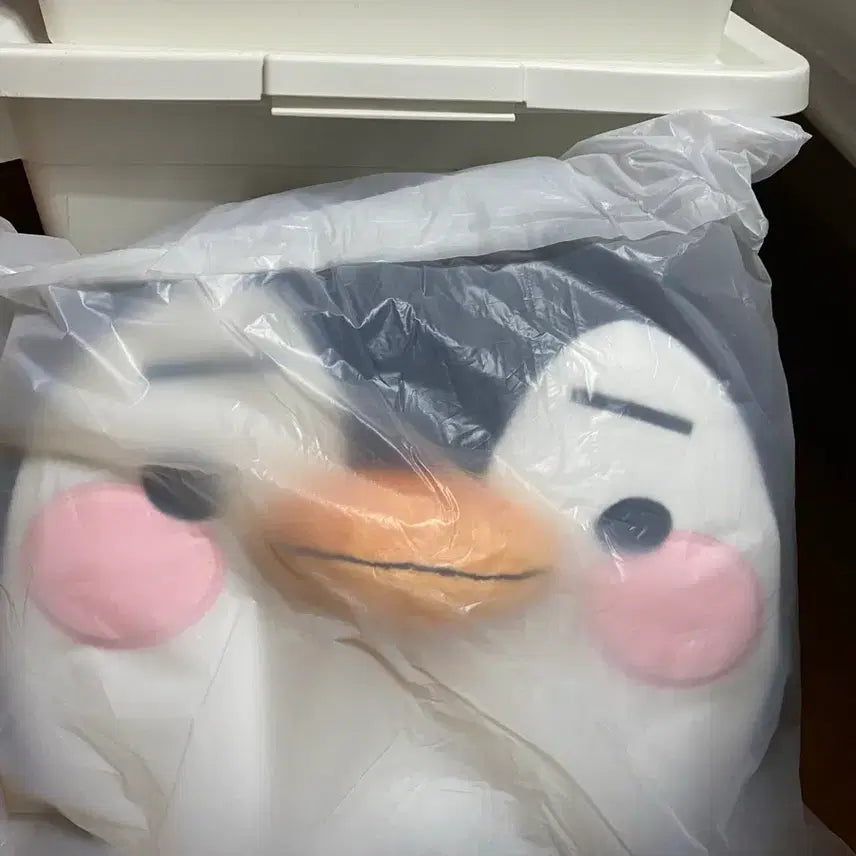 [BUNJANG] Lee Junho PengPeng Baby Cushion - Midnight Sun / 이준호 펭펭 아기 쿠션 Midnight Sun