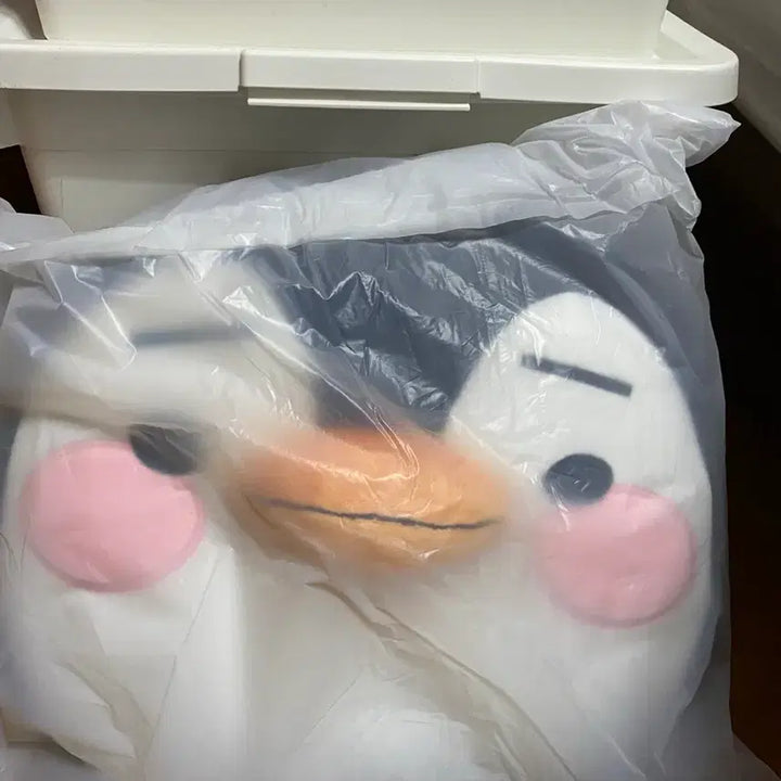 [BUNJANG] Lee Junho PengPeng Baby Cushion - Midnight Sun / 이준호 펭펭 아기 쿠션 Midnight Sun