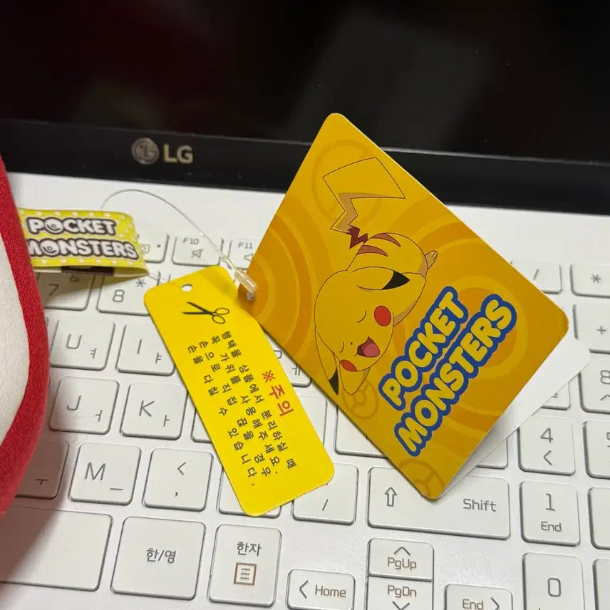 [SOLD OUT] 포켓몬 파이리 라인 낮잠 쿠션
