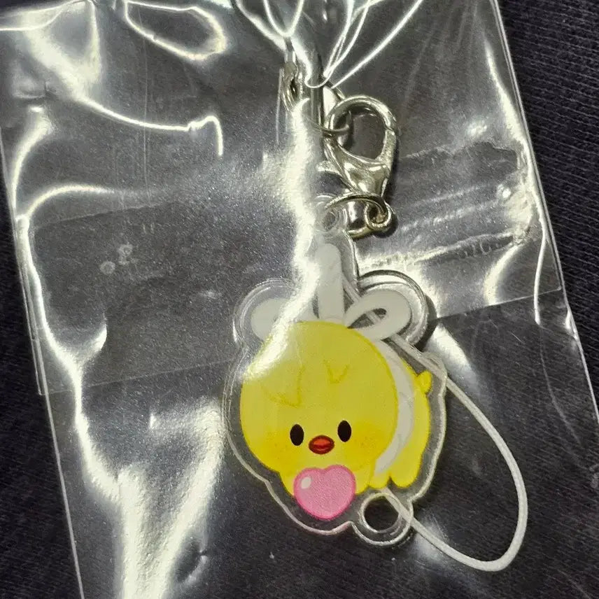 [BUNJANG] Stray Kids Fanmeeting Entrance Keyring / 스키즈 팬미팅 입장키링 뽁아리 양도