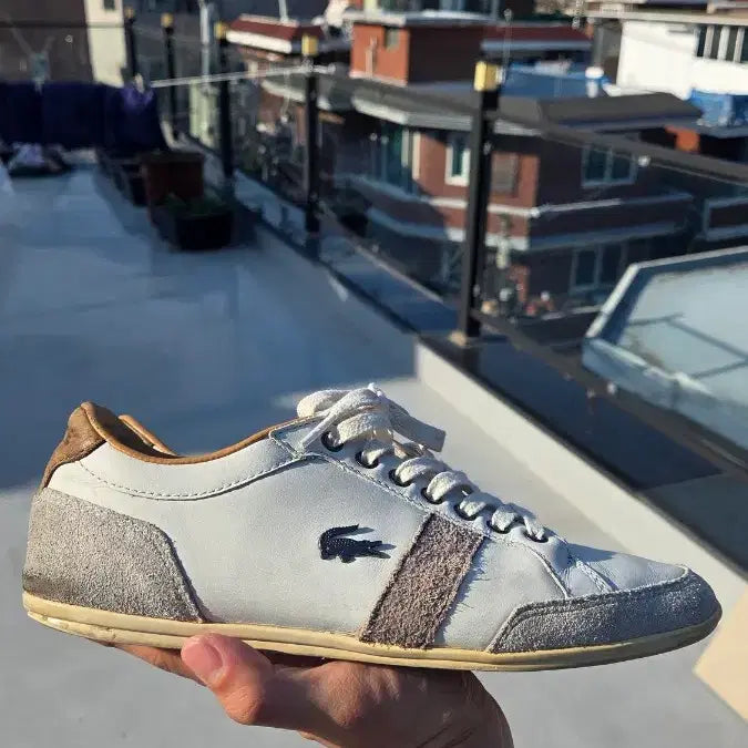 [BUNJANG] Lacoste Casual Shoes 250mm / 라코스테 단화 250
