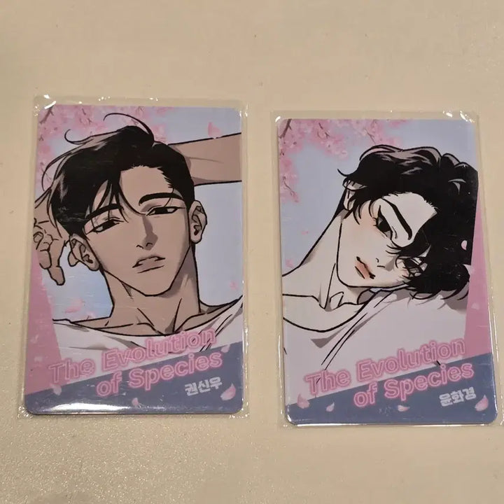 [BUNJANG] NCT Dream The Origin of Species Photocard Set / 녹티아 팝업 종의 기원 포토카드 세트 양도