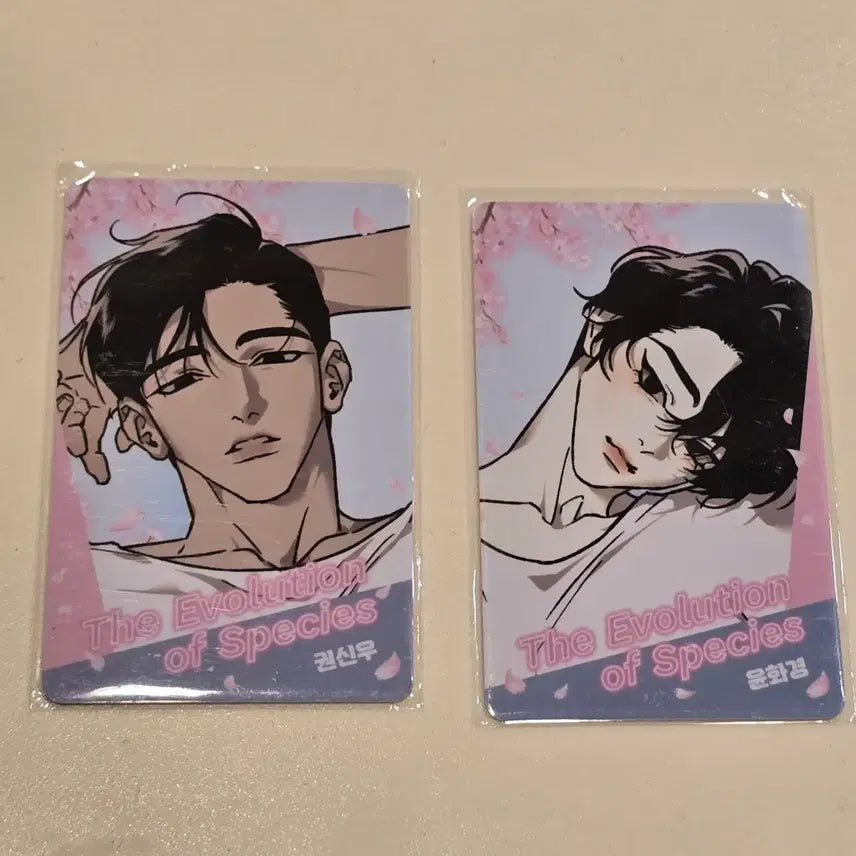 [BUNJANG] NCT Dream The Origin of Species Photocard Set / 녹티아 팝업 종의 기원 포토카드 세트 양도