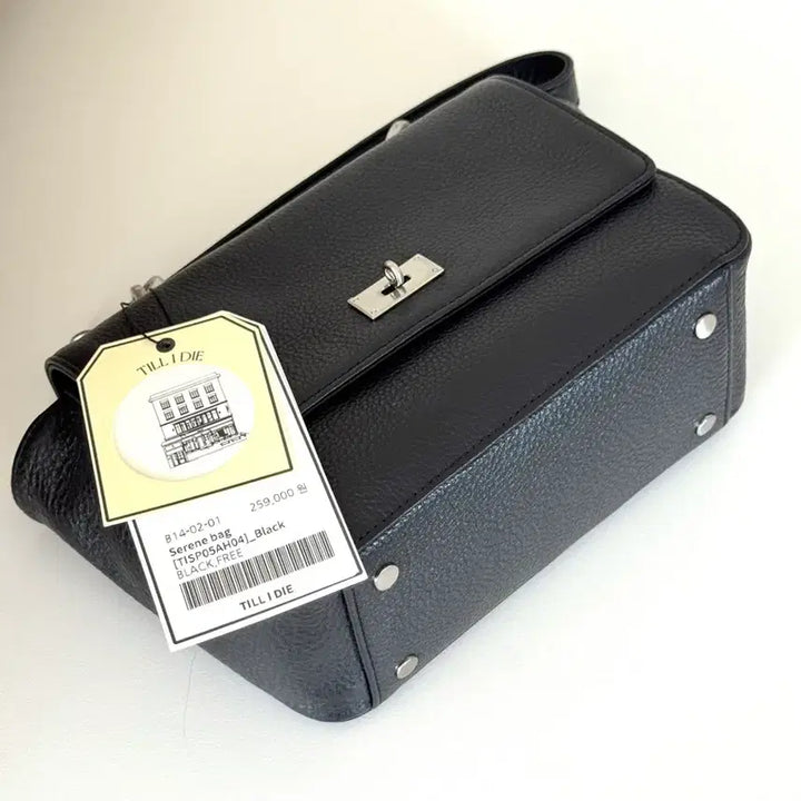 [BUNJANG] Tillidie Serene Bag Black / [새제품] 틸아이다이 세렌백 Serene Bag